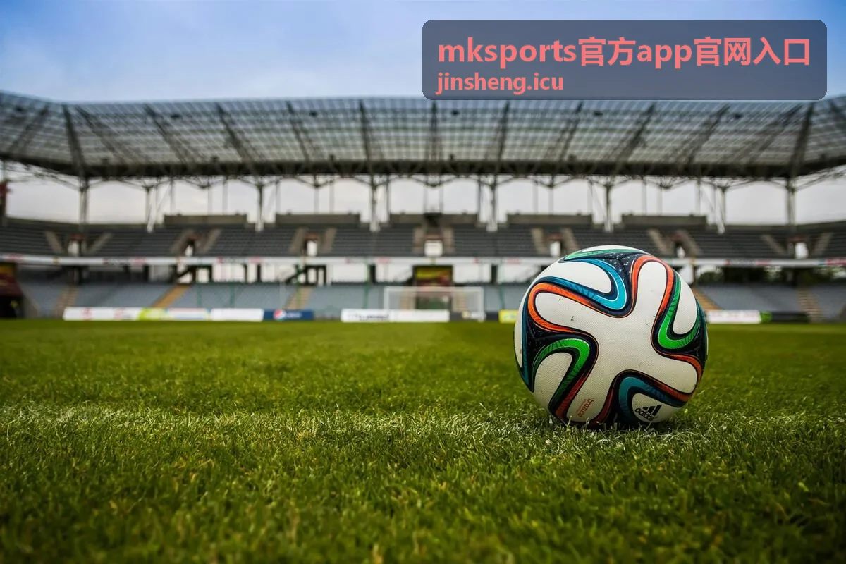 mksports官方app官网入口 优惠活动提交领取表单示意图
