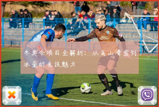 冬奥会项目全解析：从高山滑雪到冰壶的竞技魅力