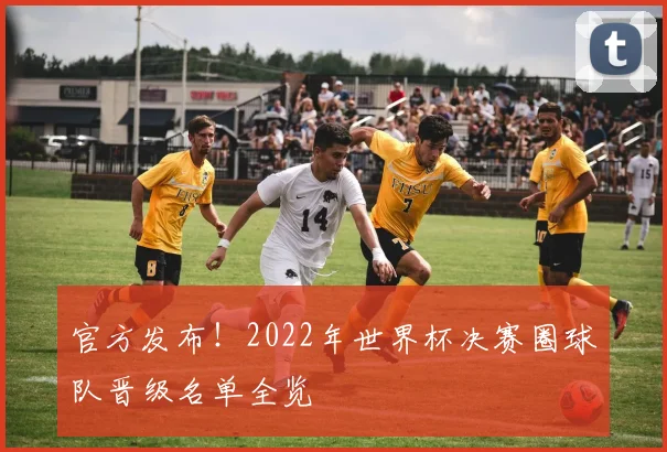 官方发布！2022年世界杯决赛圈球队晋级名单全览