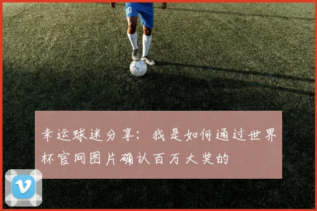 幸运球迷分享:我是如何通过世界杯官网图片确认百万大奖的
