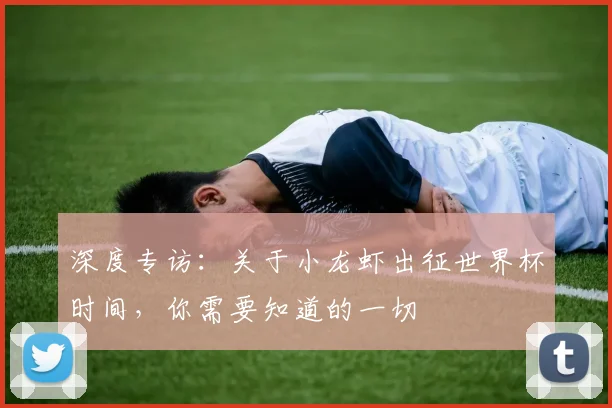 深度专访：关于小龙虾出征世界杯时间，你需要知道的一切