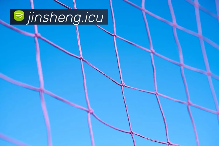 开云kaiyun网页版官网品牌故事